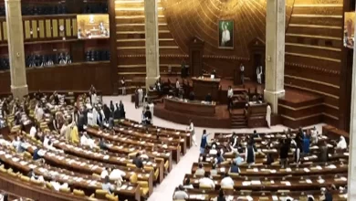 Budget, Development, Legislation