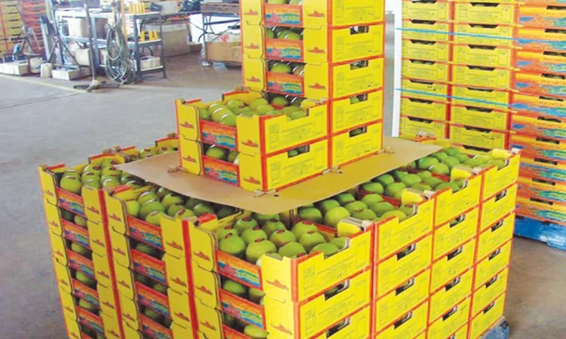 MangoExports, ClimateImpact, PakistanAgriculture
