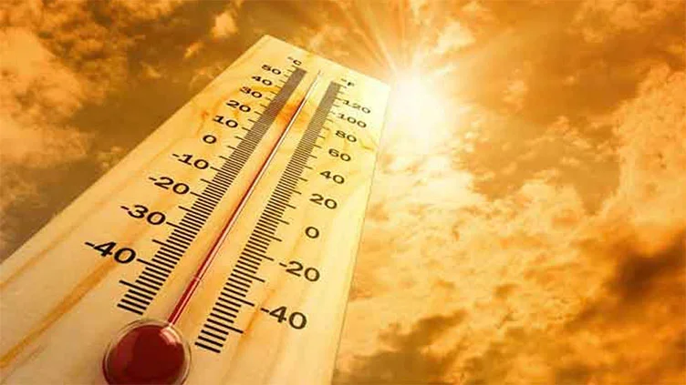 Weather, Forecast, Climate