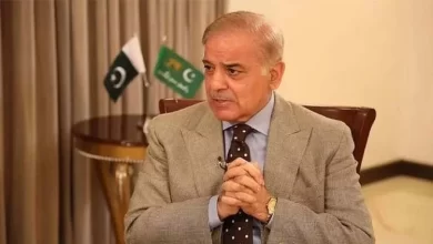 Pakistan-India ceasefire, US mediation, regional peace