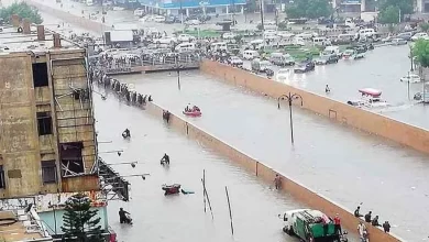 Monsoon, FloodAlert, PunjabRain