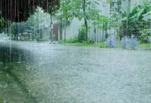 Rainfall, Floods, WeatherAlert