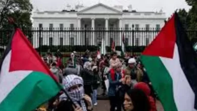 protest, Trump, Iran, 